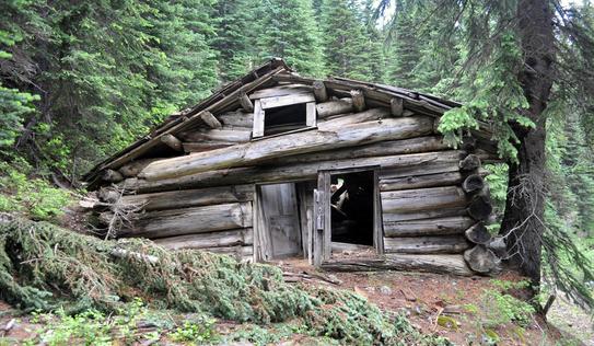 Washington: 8 Weird and Unusual Places to Visit